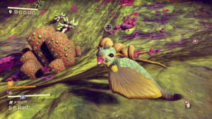 nms-2016-08-25-22-28-45-29